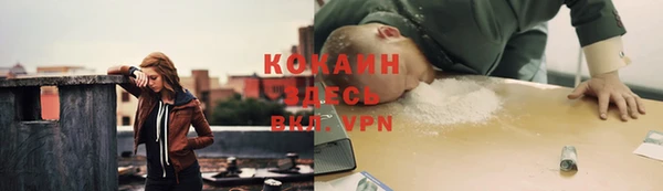 соль курить ск Алзамай